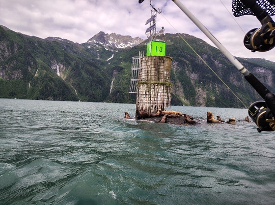 Valdez Water Taxi and Charters-瓦尔迪兹必去景点