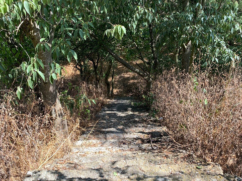 Adrenalin Bungee Jumping Varna-瓦尔纳必去景点