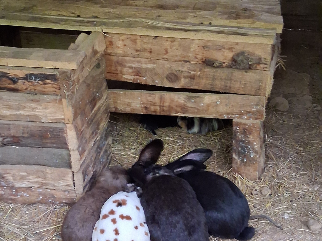 Ferme-Rieumes必去景点