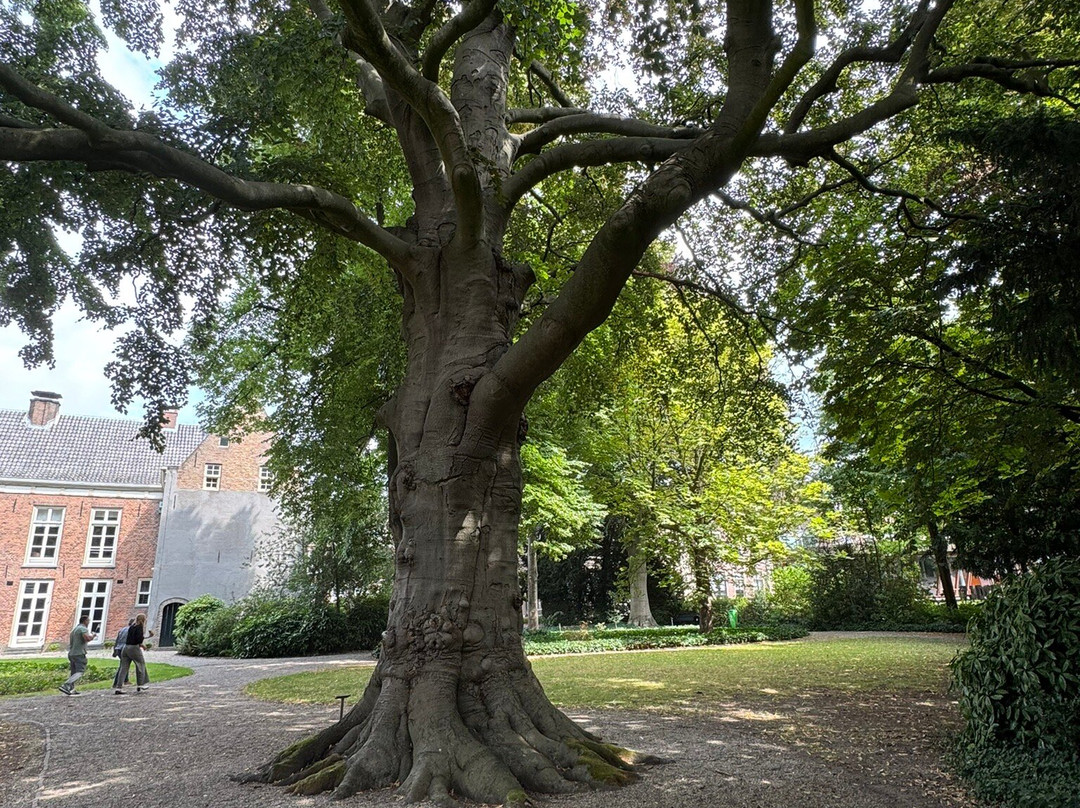 Ambtmanstuin-Stadspark te Tiel-蒂尔必去景点