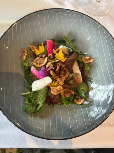 Sagafjord Hotel-官方