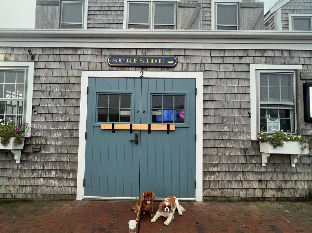 Surfside Taco Stand Nantucket
