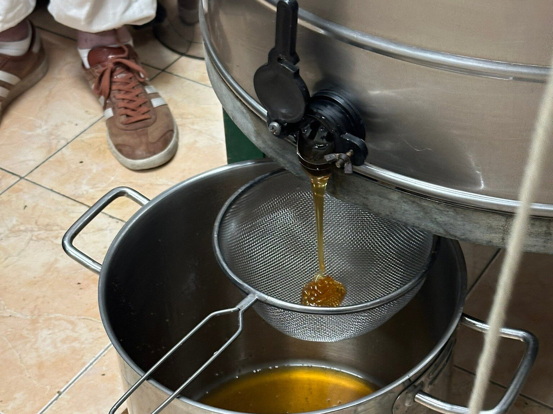 Dias Beekeeping-Svoronata必去景点