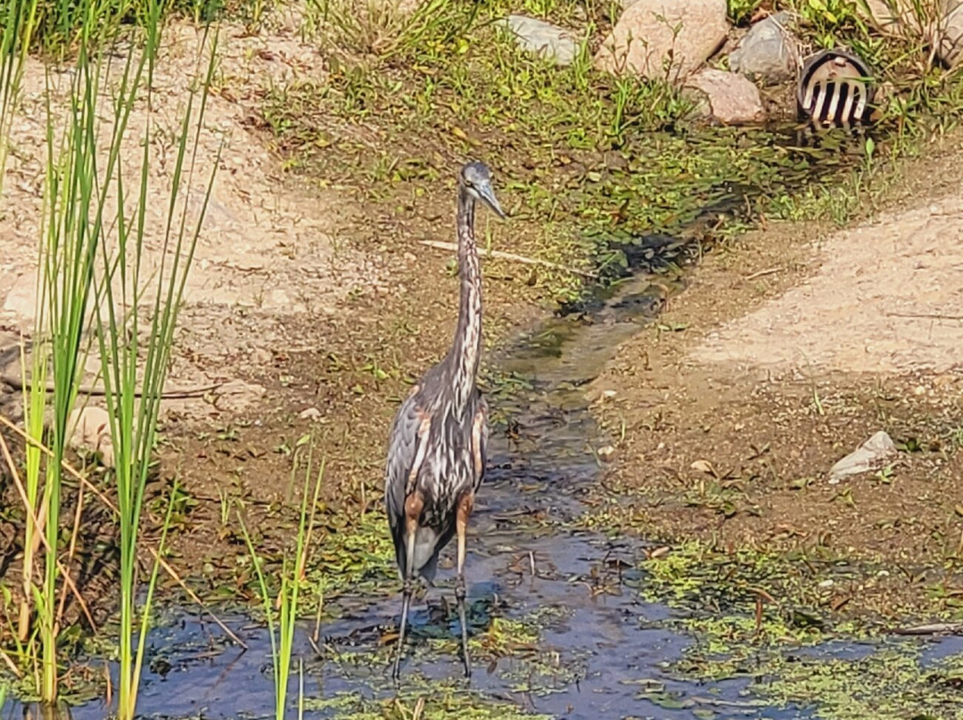 Mike Schout Wetlands Preserve-New Hamburg必去景点