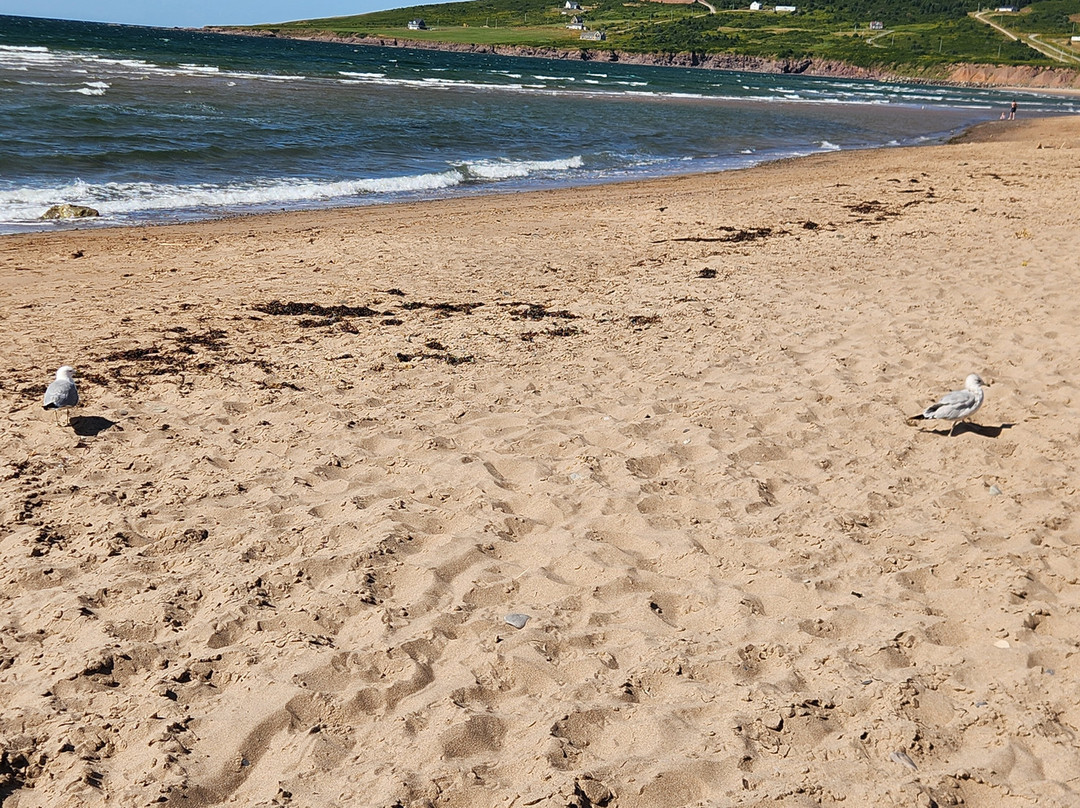 West Mabou Beach-Mabou必去景点