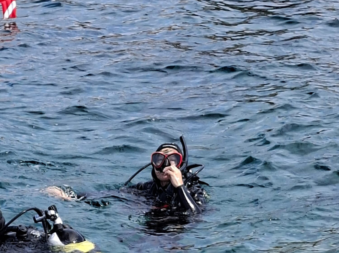Bluassoluto diving-Trinita d'Agultu e Vignola必去景点