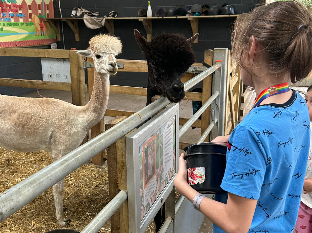 Reddish Vale Farm-斯托克波特必去景点