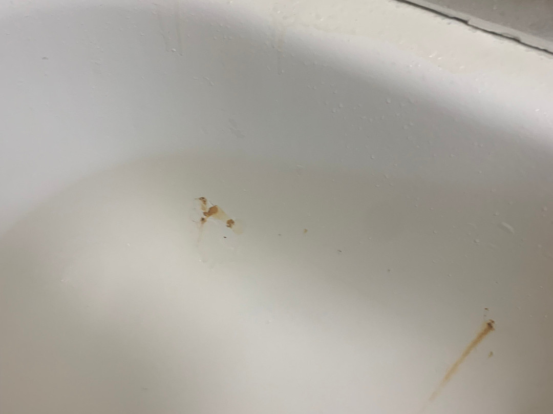 Inn on Lake Granbury a Boutique Hotel主图