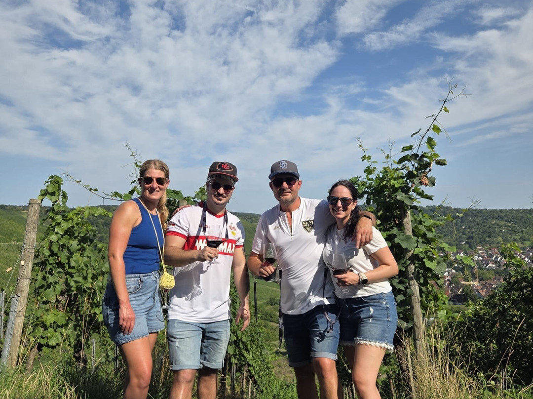 frohnatouren-斯图加特必去景点