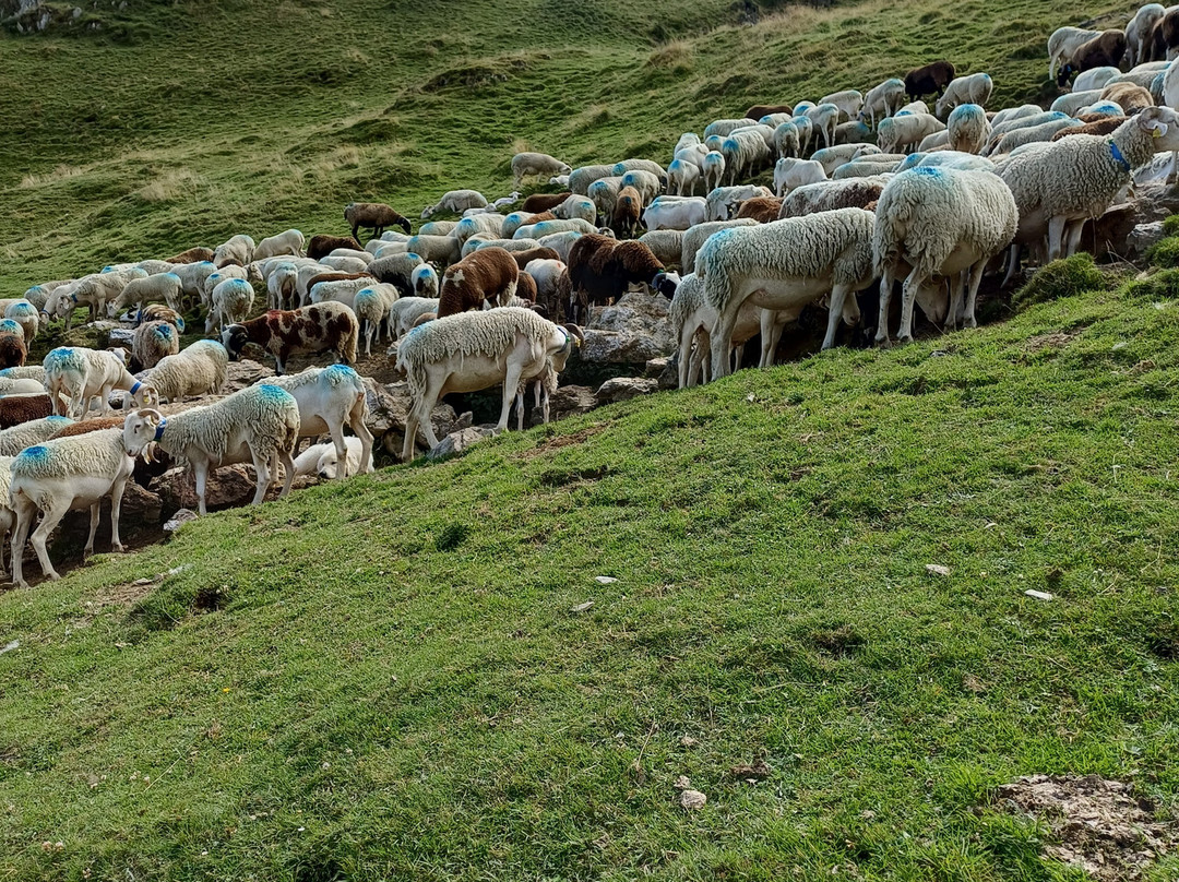 Belambra Clubs - Lou Sarri主图