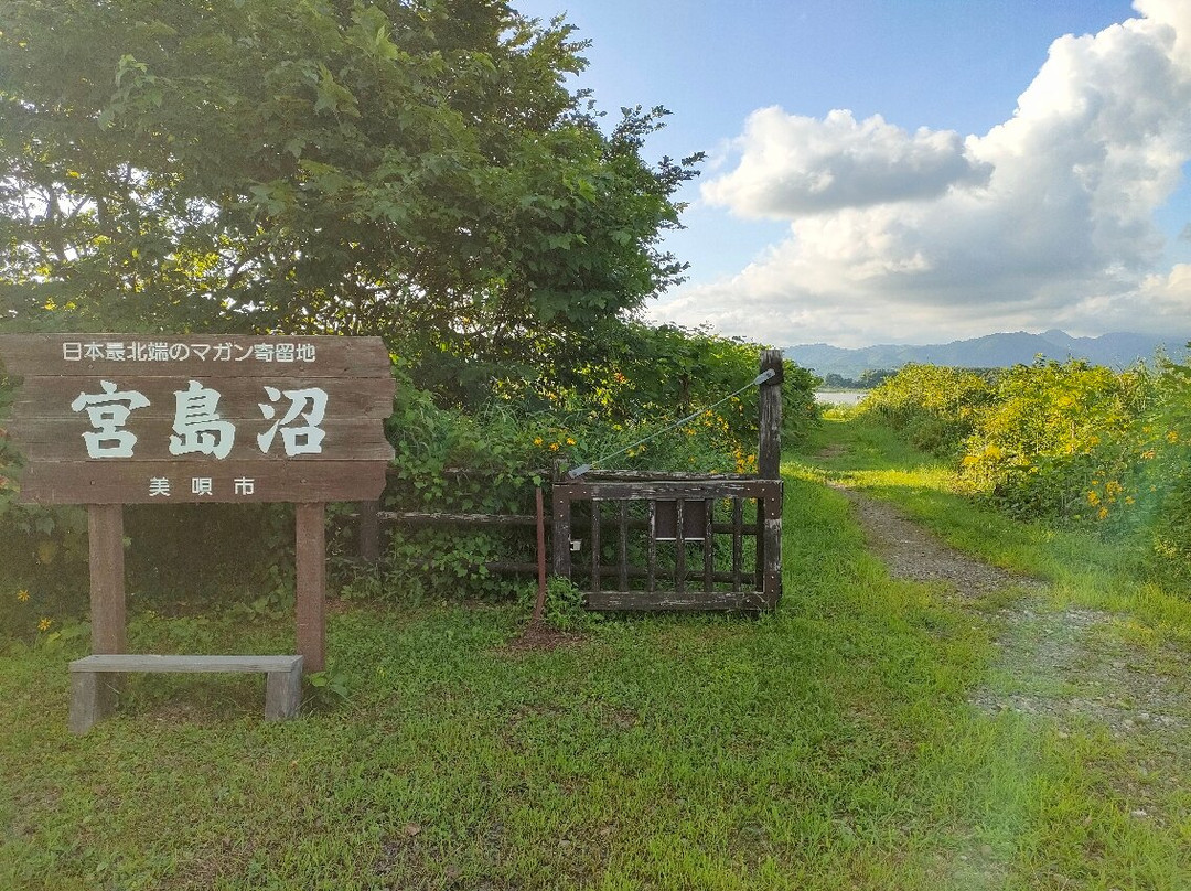 Miyajimanuma-美呗市必去景点