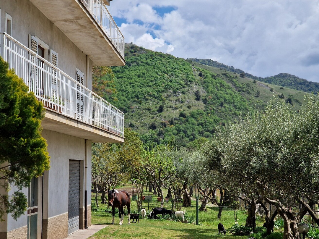 Villa Delle Rose B&B