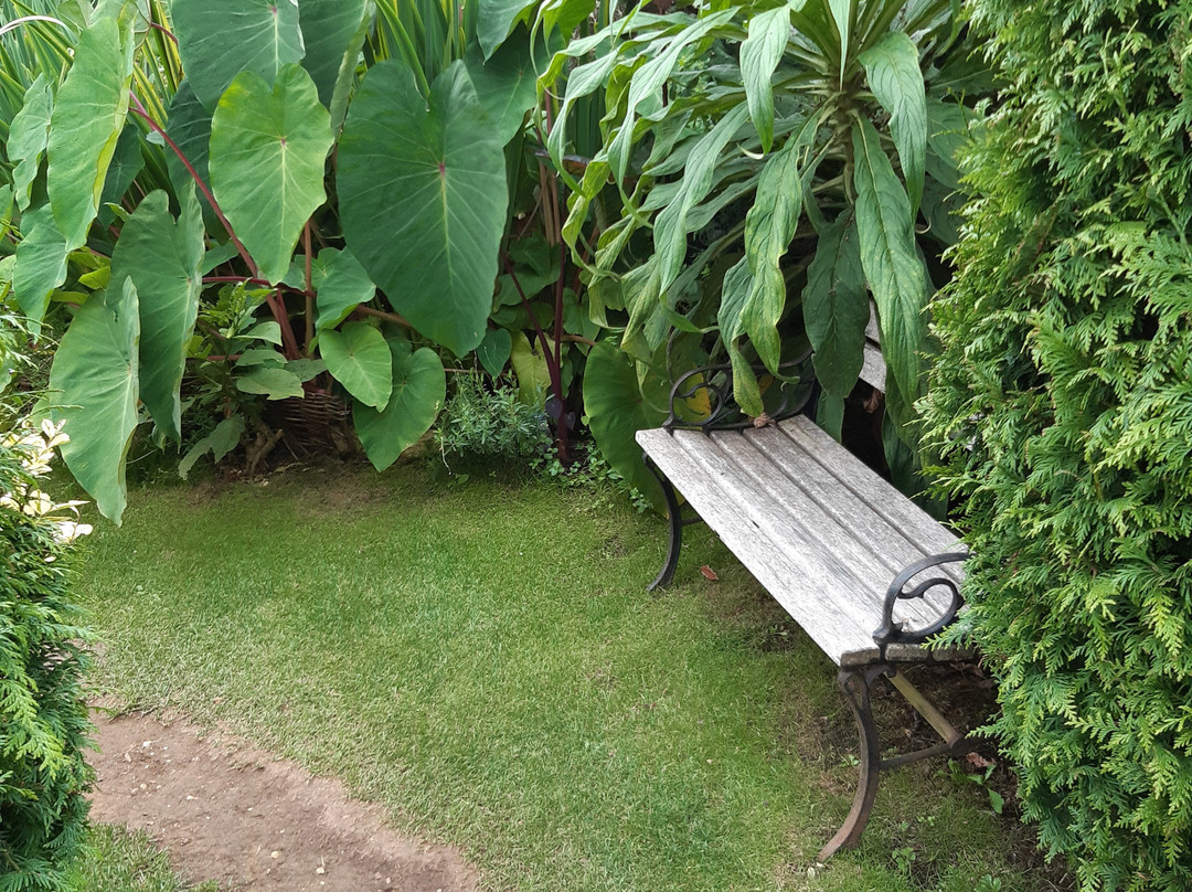 Muddy Patches-Abbotsbury必去景点