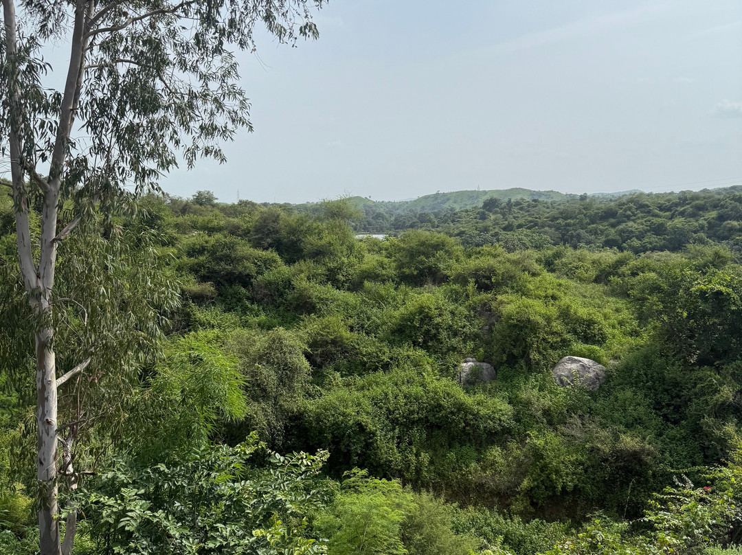 Chunda Shikar Oudi主图