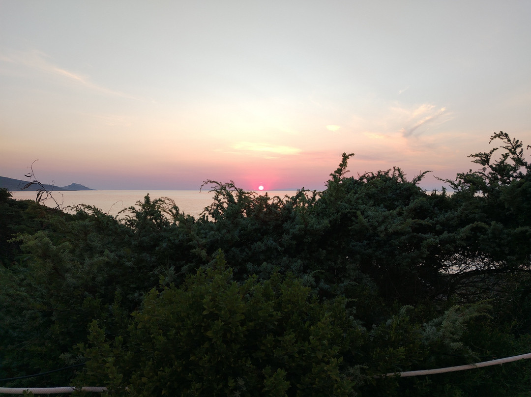 Ristorante Bar Baia Dei Ginepri