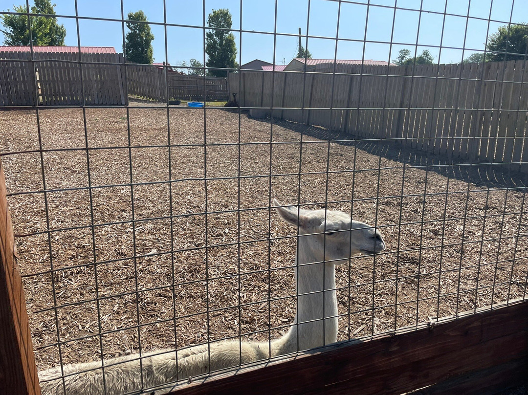 Animal Adventure Park-Harpursville必去景点