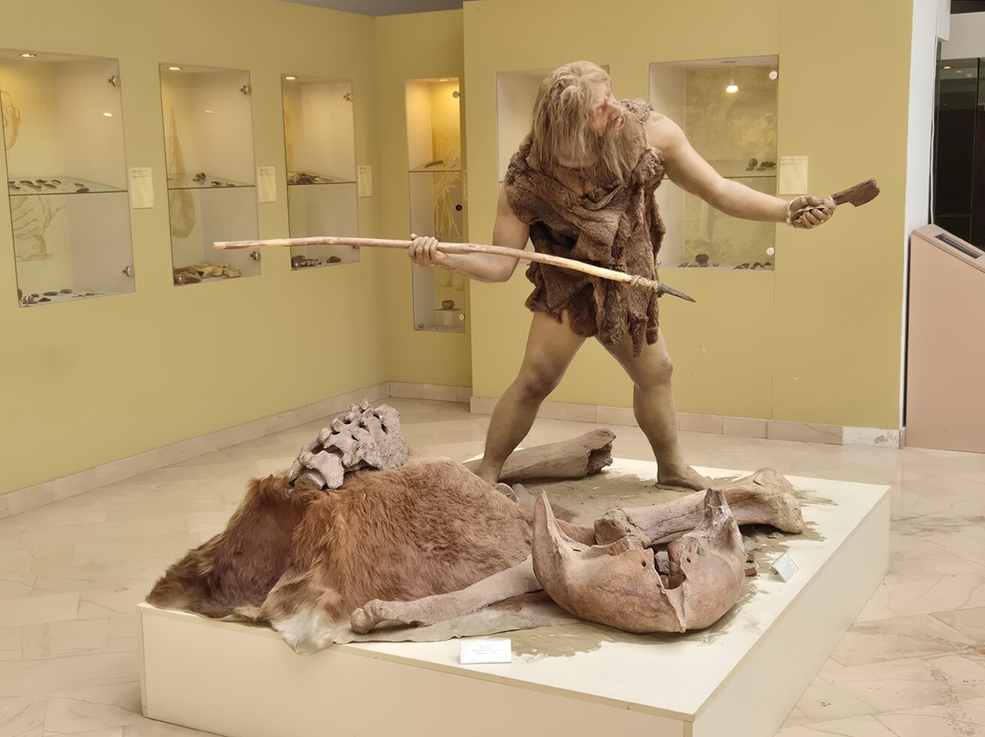 Museum of Republika Sprska-巴尼亚卢卡必去景点