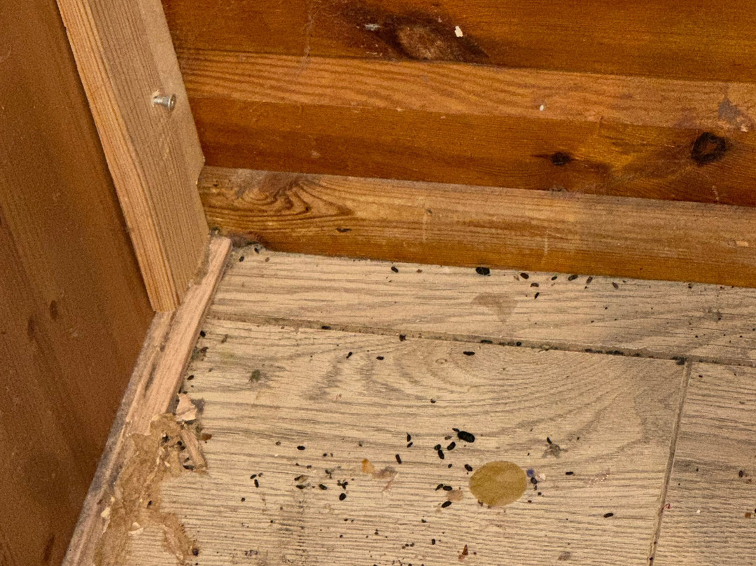 Finlake Falls-Chudleigh必去景点