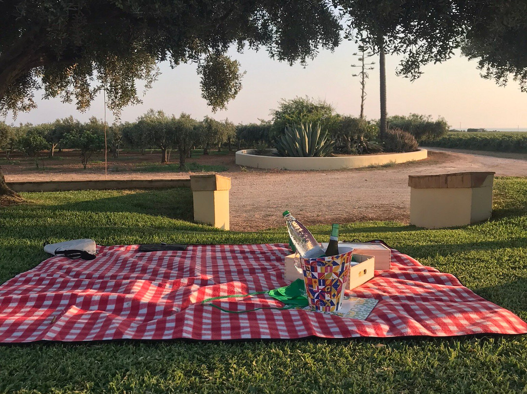 Tenuta Tondi Gorghi-马扎拉－德尔瓦洛必去景点