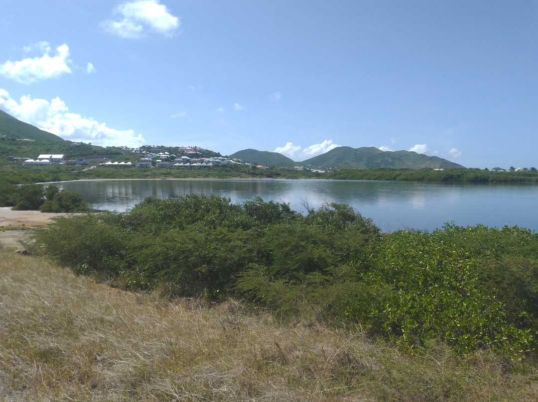 Mount Vernon Hike To Orient Bay