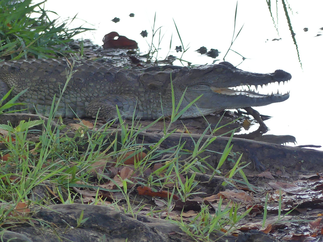 Pk Tours By Kuma-因都鲁瓦必去景点