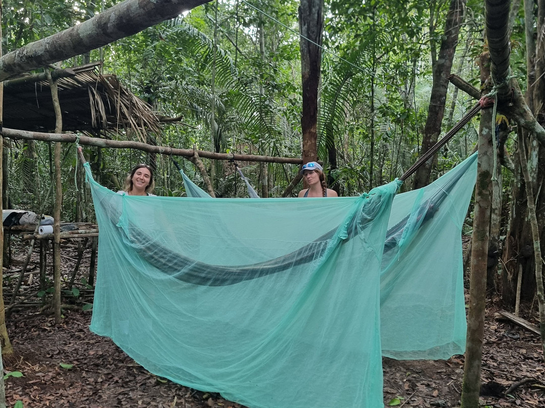 Amazon Rambo Jungle Tours-玛瑙斯必去景点