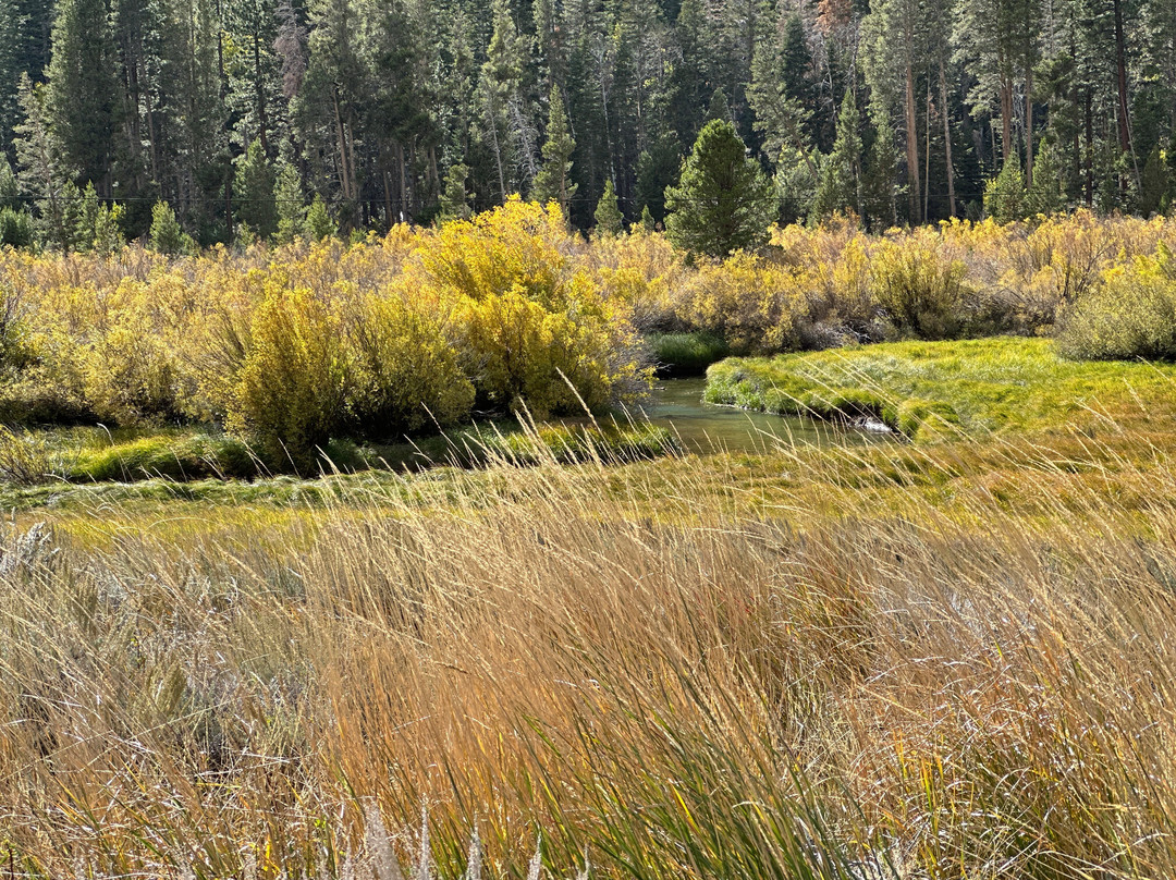 Lee Vining Creek-利韦宁必去景点