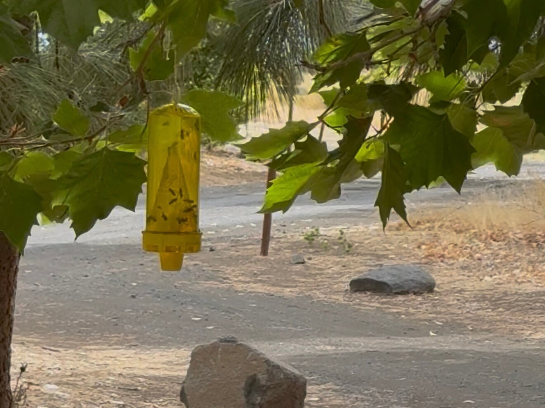 Potholes State Park-摩西湖必去景点