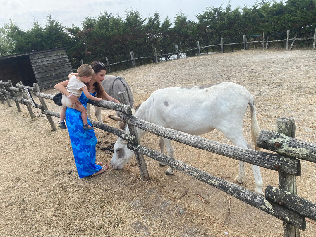 La Maison de l'Âne-Beauvoir-Sur-Mer必去景点