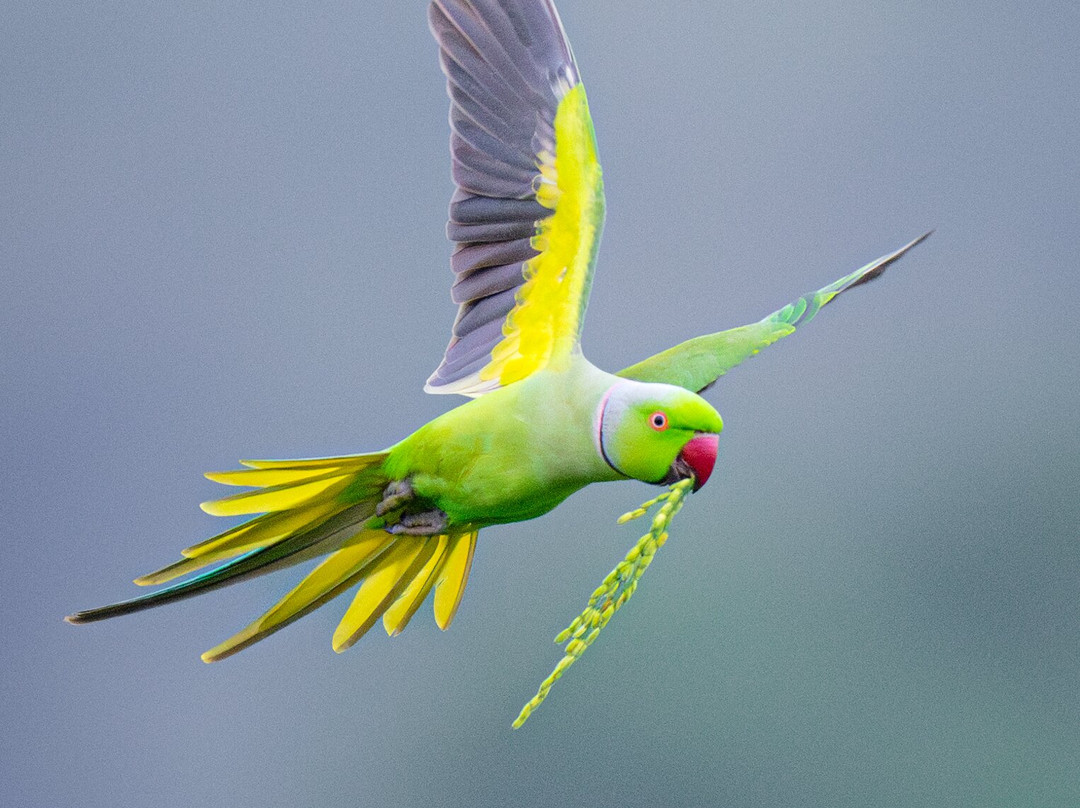 North Lanka Nature Trails-Kilinochchi必去景点