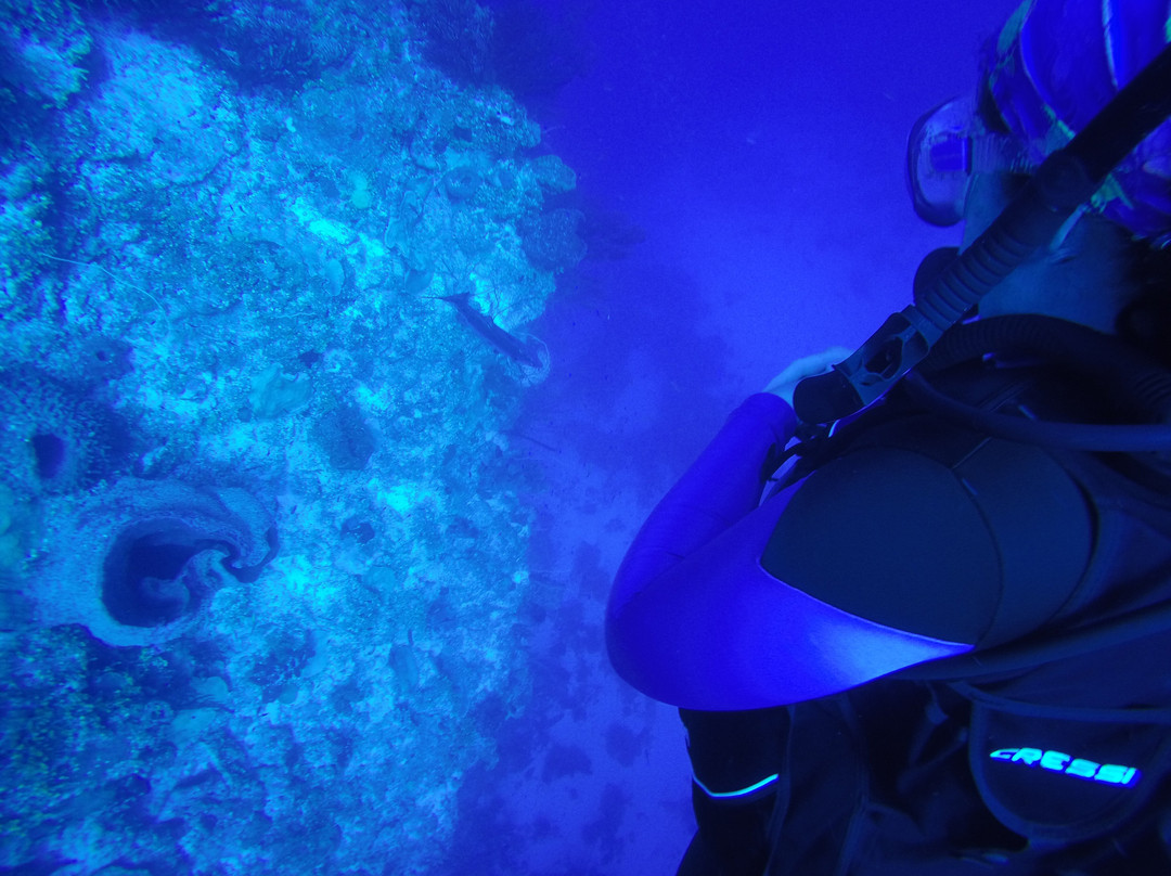 Aqua TCI-普罗维登西亚莱斯必去景点