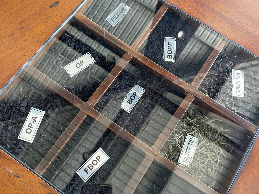 Oak Ray Tea Factory & Museum-拉马伯达必去景点