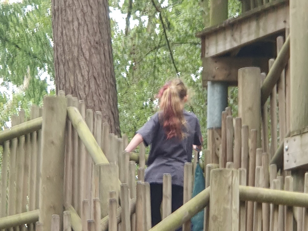 BeWILDerwood Cheshire-Whitchurch必去景点