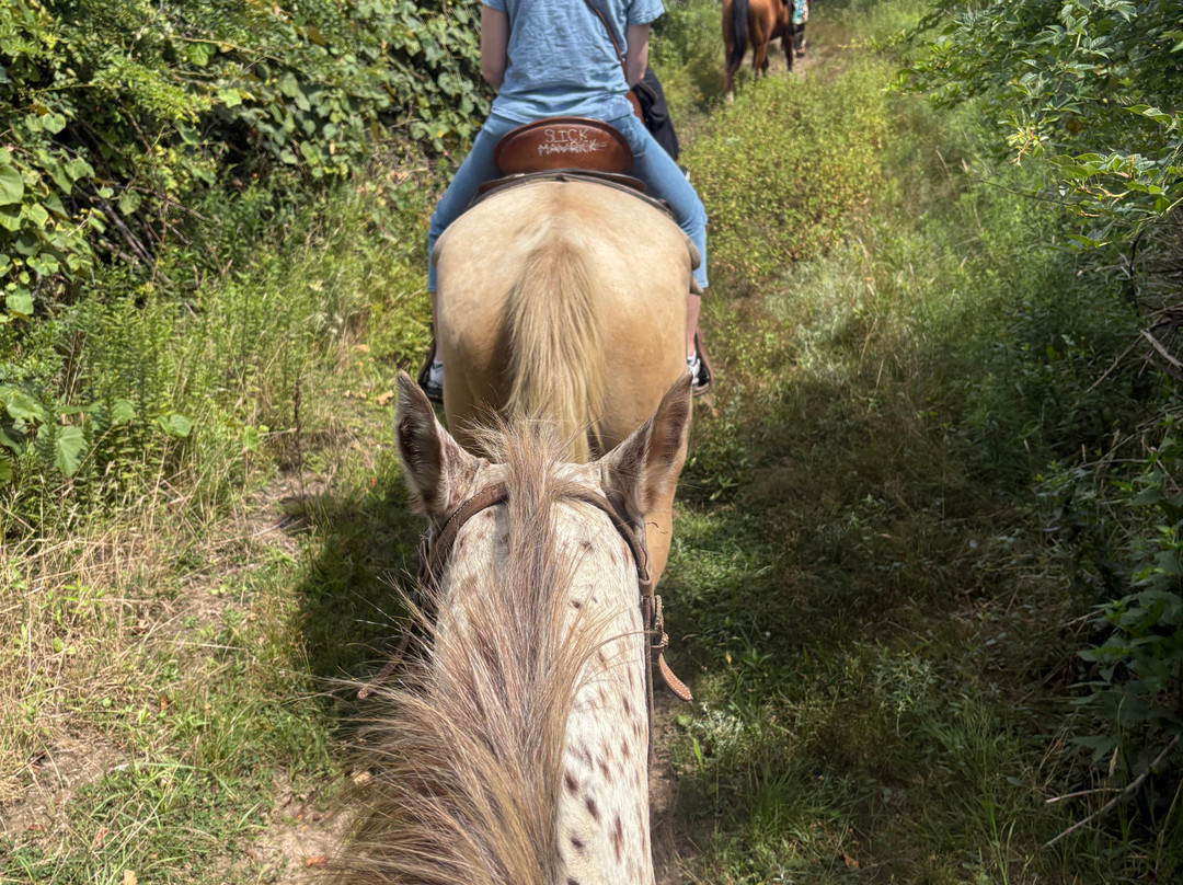 Deep Hollow Ranch-蒙托克必去景点