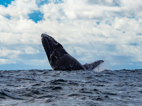 Outlanders Colombia-波哥大必去景点