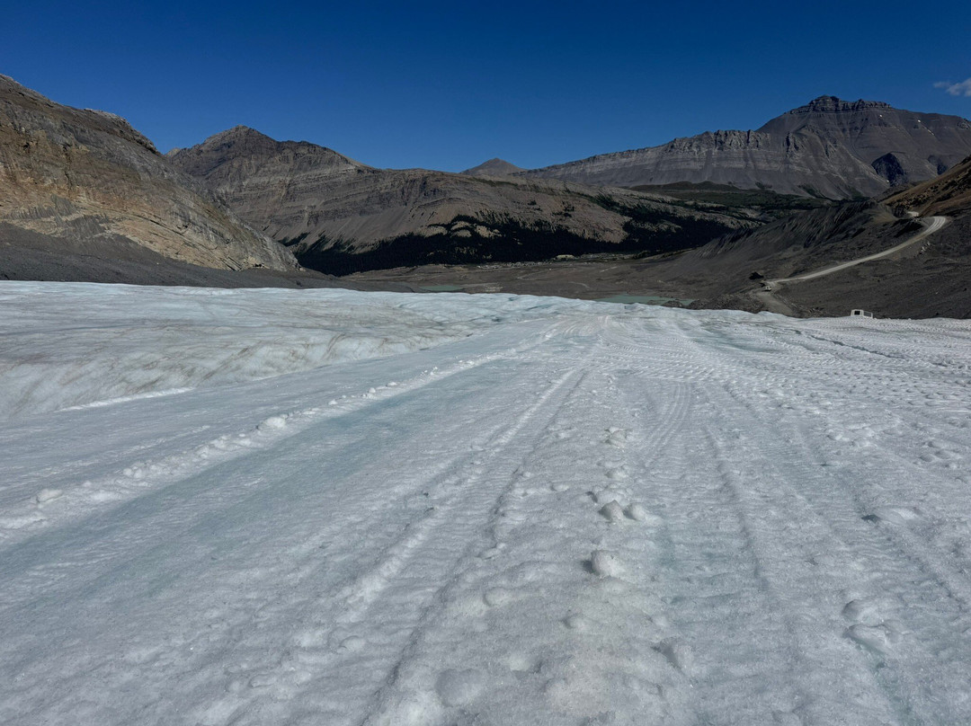 Columbia Icefield Scenic Walks-班夫必去景点