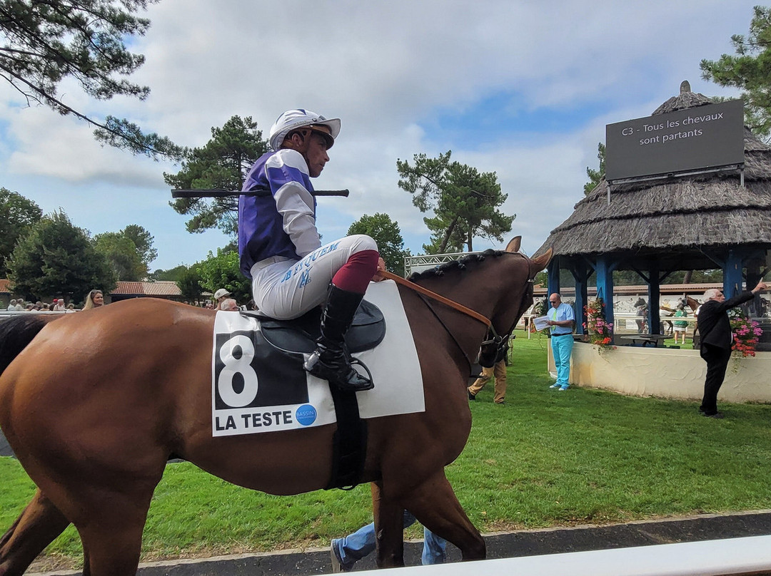 Hippodrome De La Teste-de-buch-拉泰斯特德比克必去景点