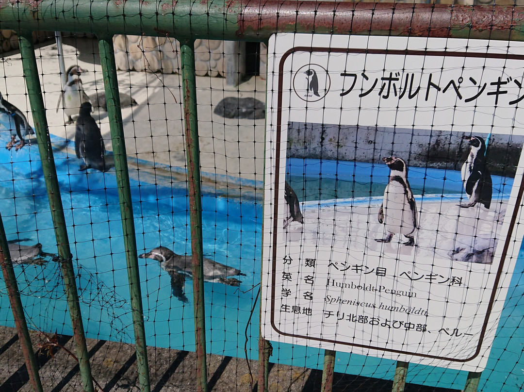 Kiryugaoka Zoo-桐生市必去景点