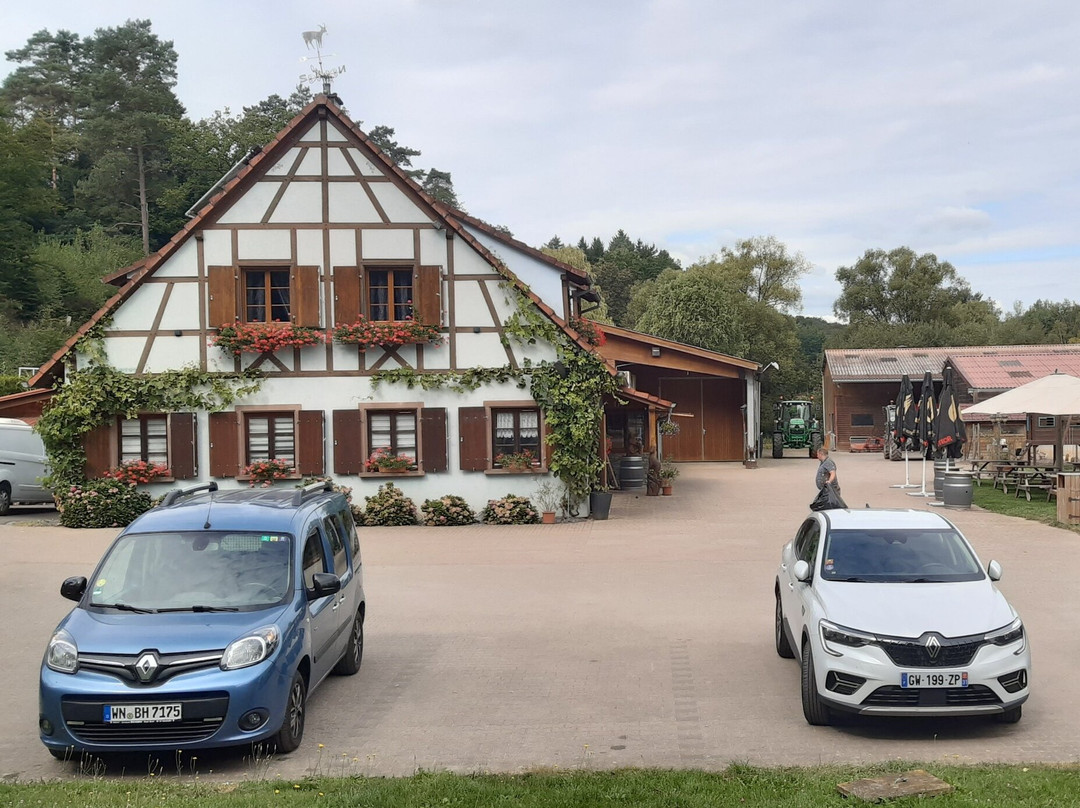 Ferme du Steinbach-Obersteinbach必去景点