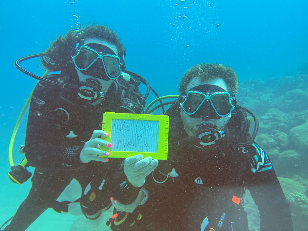 Kauai Scuba Adventures-阿那荷拉必去景点