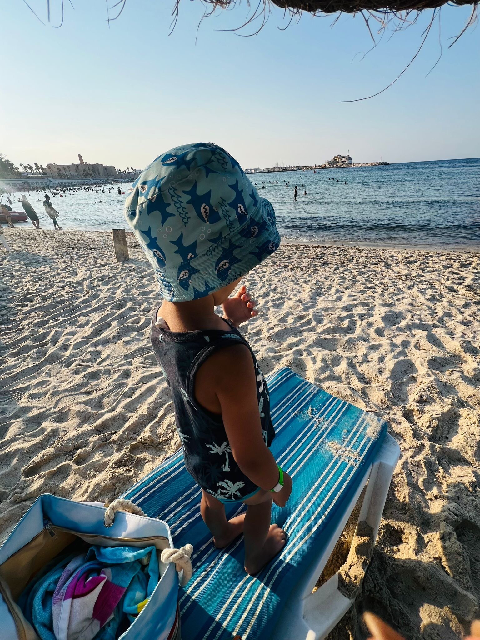 Delphin Ribat-泳池