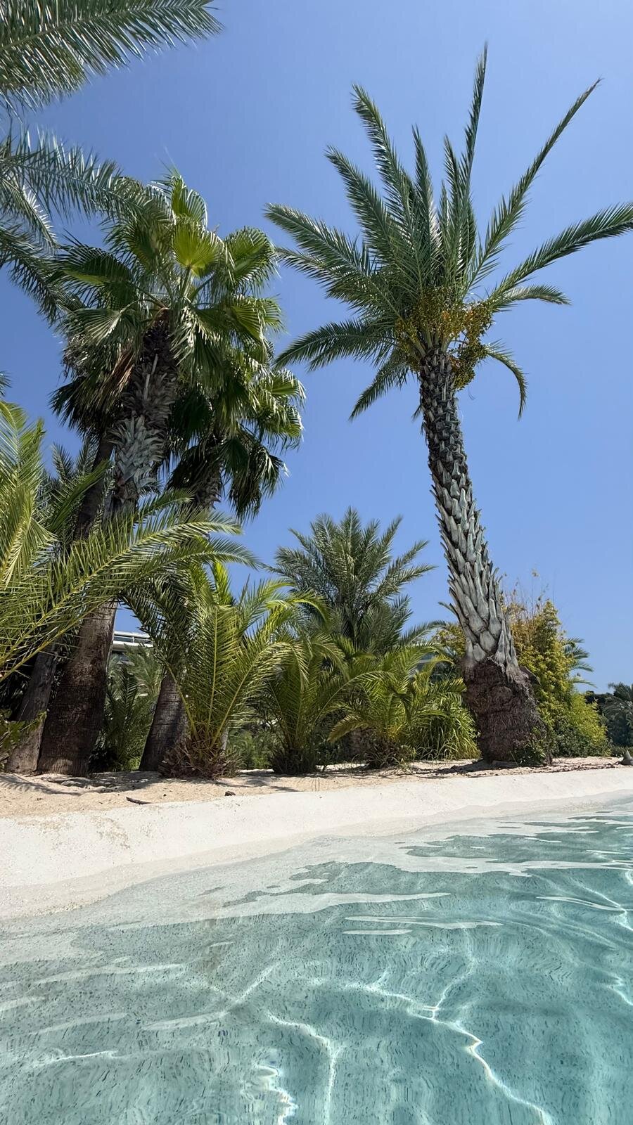 Maxx Royal Belek Golf Resort-泳池