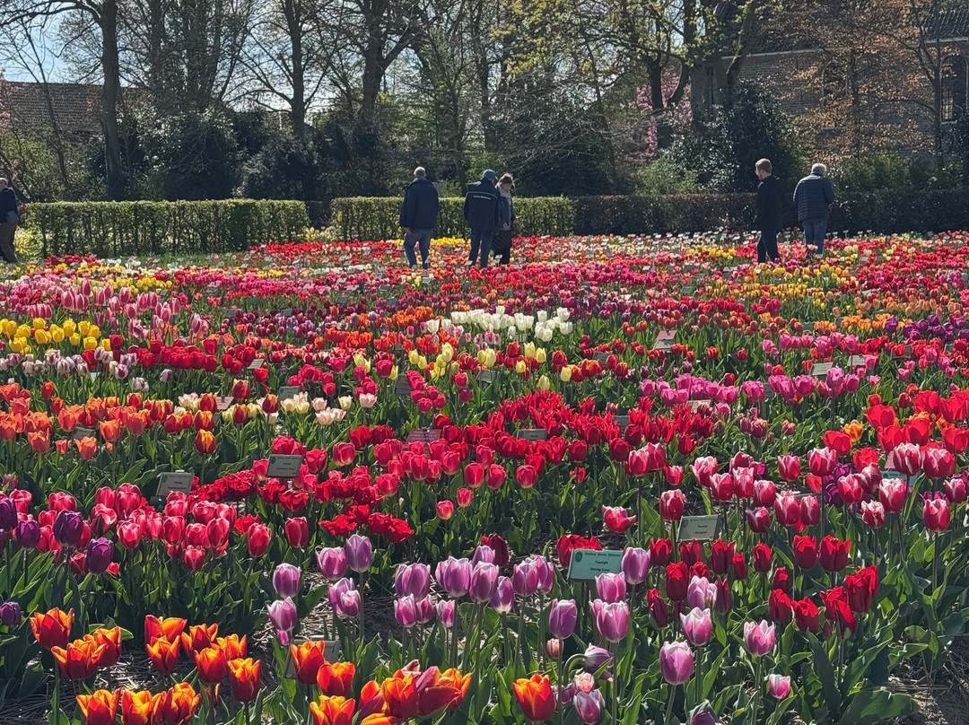 Hortus Bulborum Limmen-Limmen必去景点