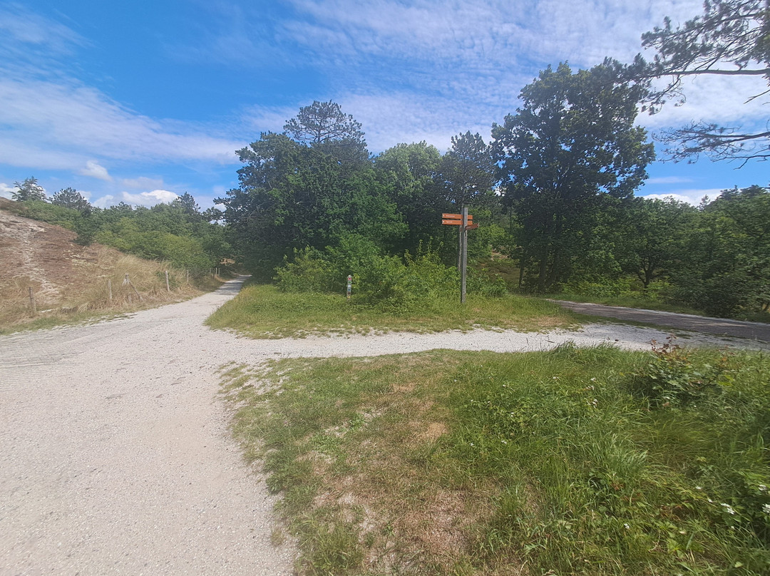 Schoorlse Duinen-Schoorl必去景点