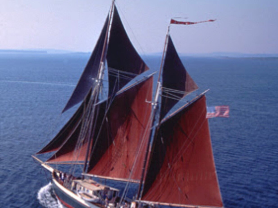 Windjammer Angelique-卡姆登必去景点