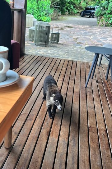 Senda Monteverde Hotel-浴室