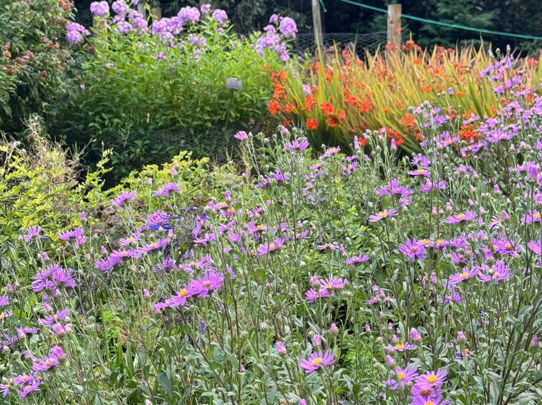 Bressingham Steam Museum and Gardens-Bressingham必去景点