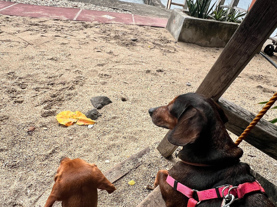 波图拉诺潜水度假村主图