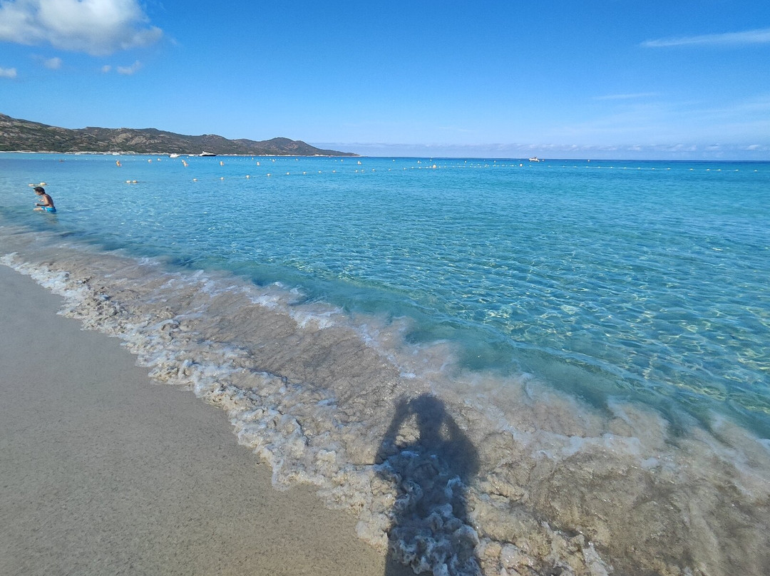 Plage de Saleccia-Santo-Pietro-di-Tenda必去景点