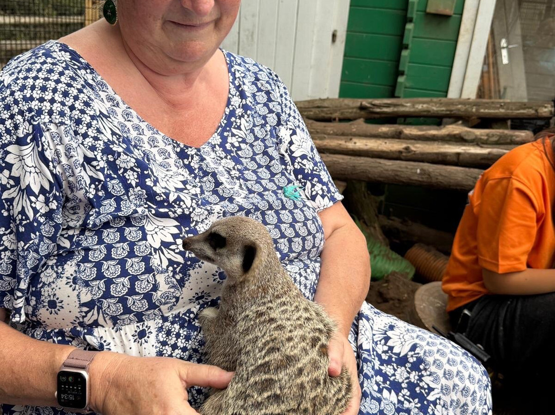 Lucky Tails Alpaca Farm-Atherstone必去景点